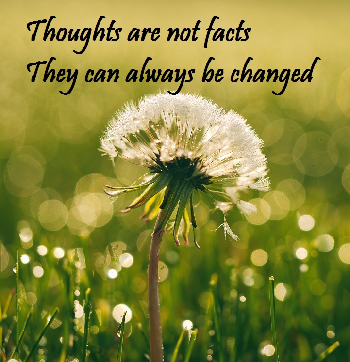 Thoughts are not Facts - CFMI